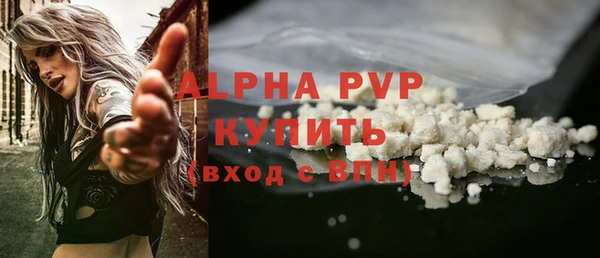 прущие грибы Заволжск