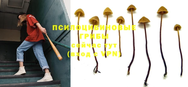 a pvp Зеленокумск
