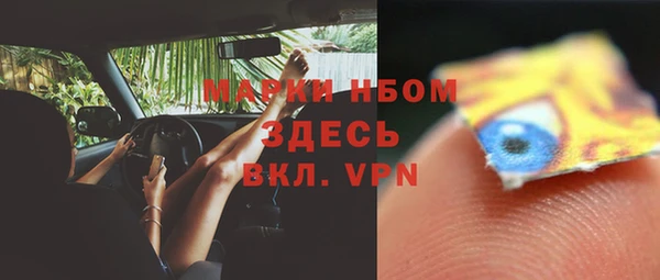 гашик Заводоуковск