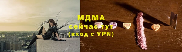 прущие грибы Заволжск