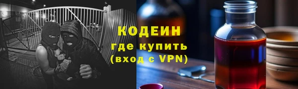 прущие грибы Заволжск