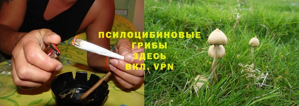 гашик Заводоуковск