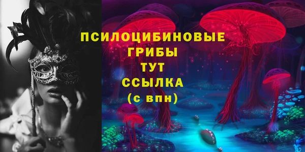 гашик Заводоуковск